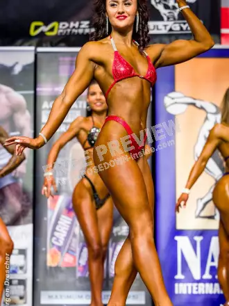 2023 11 nac universe